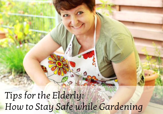 Tips for the Elderly: How to Stay Safe while Gardening