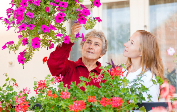 6-reasons-why-gardening-is-good-for-seniors